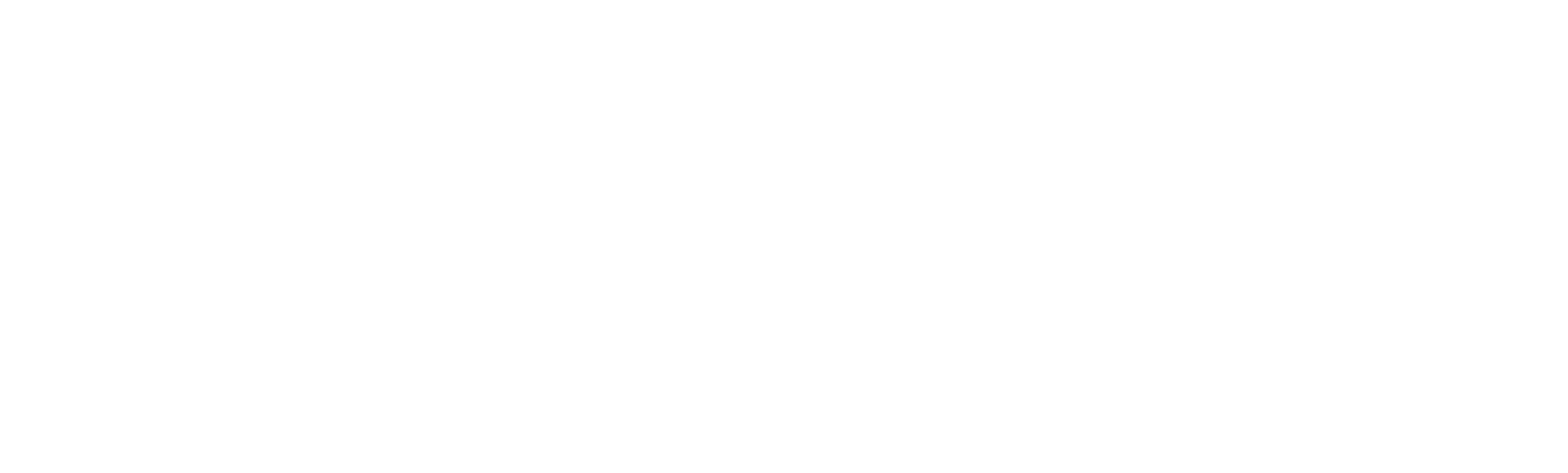 Security in practice